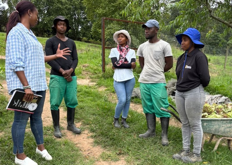Youth working in crop fields