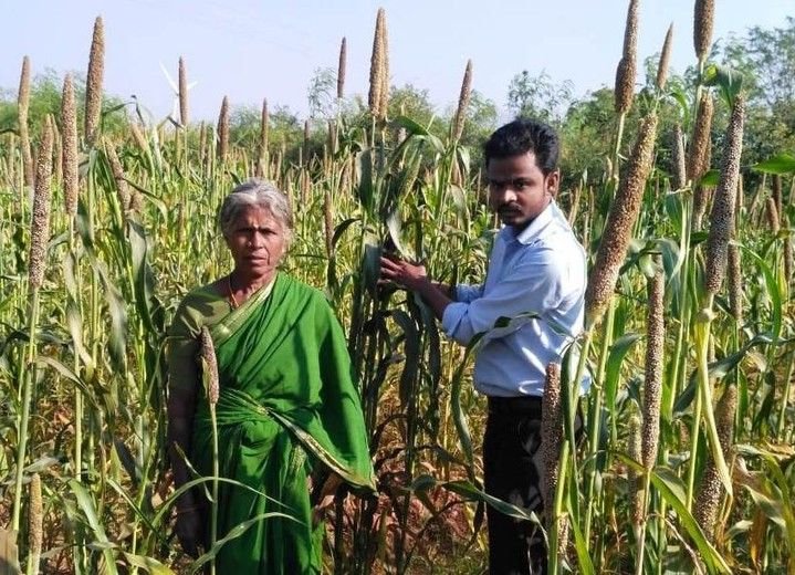 Future of farming article